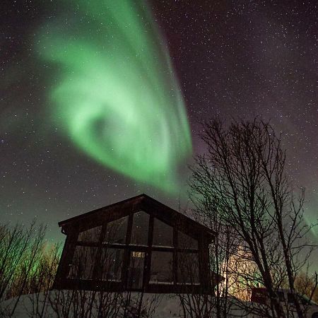 Aurora View Cabin Lyngseidet Exterior foto