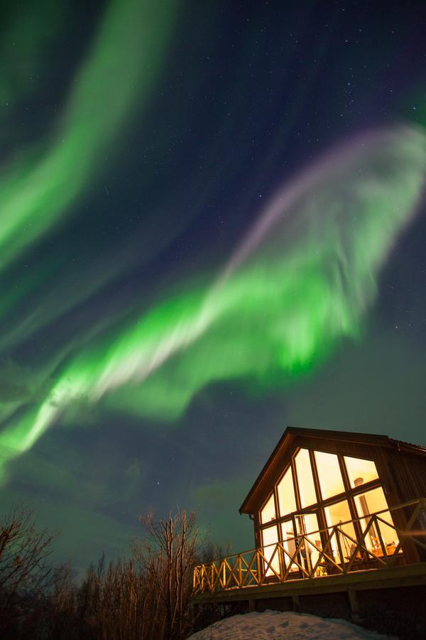Aurora View Cabin Lyngseidet Exterior foto